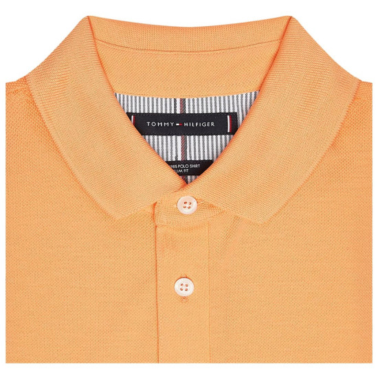 Tommy Hilfiger Ανδρική κοντομάνικη μπλούζα polo